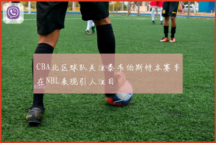 CBA北区球队关注泰韦伯斯特本赛季在NBL表现引人注目