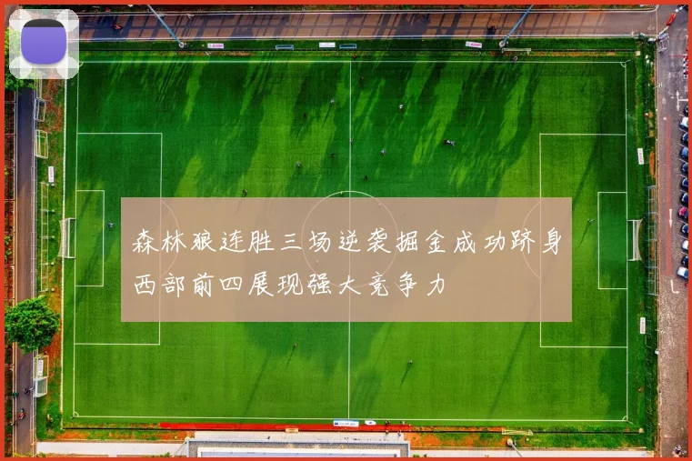 森林狼连胜三场逆袭掘金成功跻身西部前四展现强大竞争力