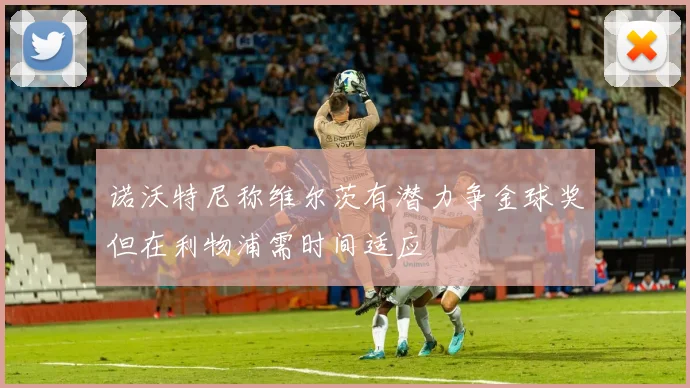 诺沃特尼称维尔茨有潜力争金球奖但在利物浦需时间适应